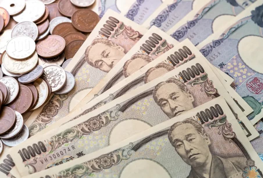 The Japanese Art of Saving Money